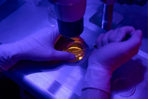 Embryo Culturing