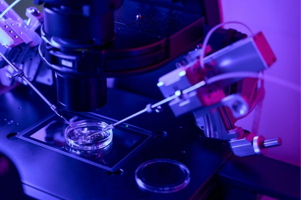 Embryo Transfer